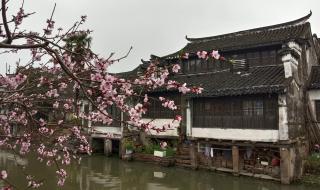 苏州市太仓到沙溪公交线路的信息 太仓市沙溪高级中学