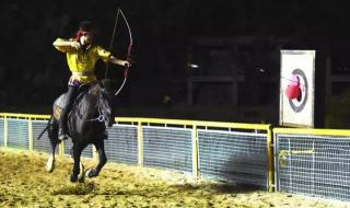 深圳野生动物园门票多少啊 深圳动物园门票团购