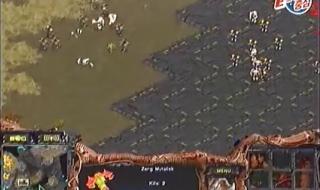 neverland是哪个组合 jaedong第一视角