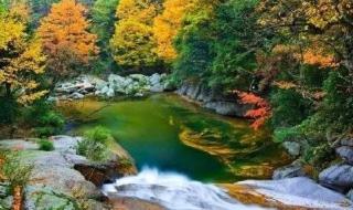 米仓山国家森林公园 米仓山国家森林公园