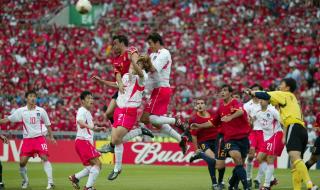 02世界杯中国队排名 2002年世界杯决赛是哪两个国家,比分多少